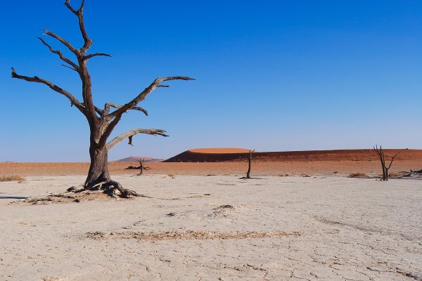 Le changement climatique touchera plus sévèrement les plus pauvres